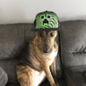 Meet your Posher, Mar